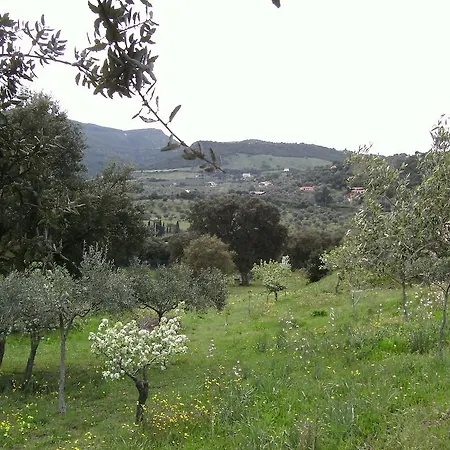 לינה וארוחת בוקר Valli Verdi