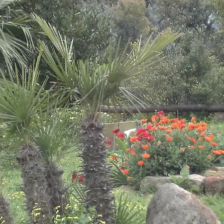 Bed and breakfast Valli Verdi Alguer