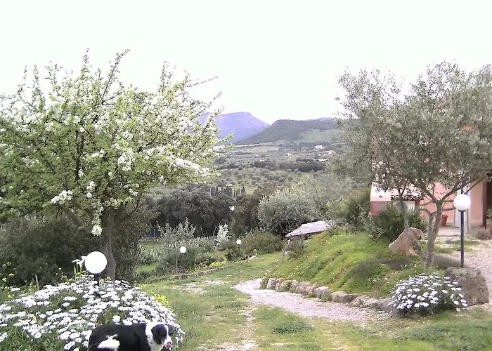 Valli Verdi Альгеро